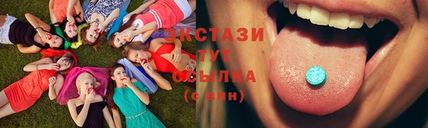 хмурый Магас