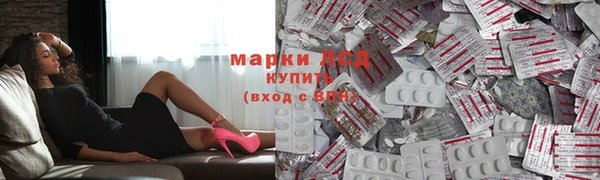 хмурый Магас