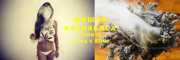 хмурый Магас
