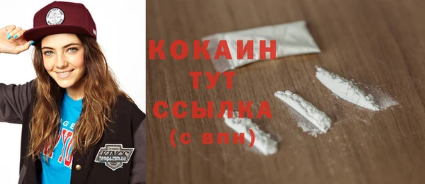 хмурый Магас