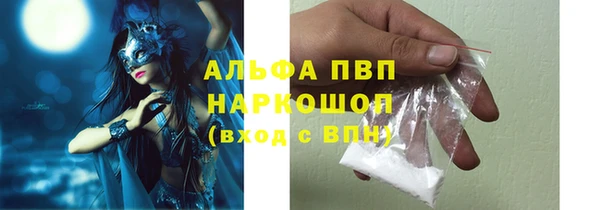 хмурый Магас