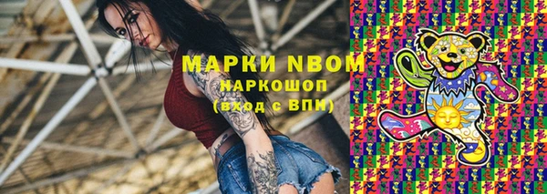 хмурый Магас
