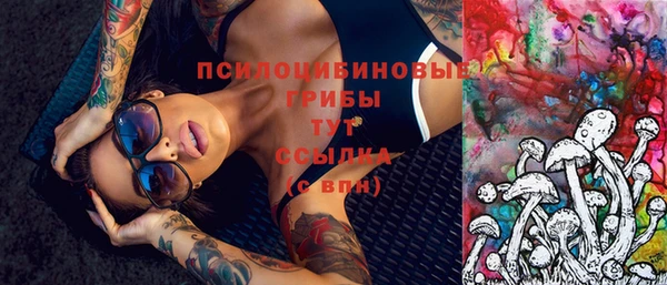 хмурый Магас