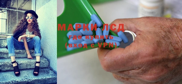 хмурый Магас